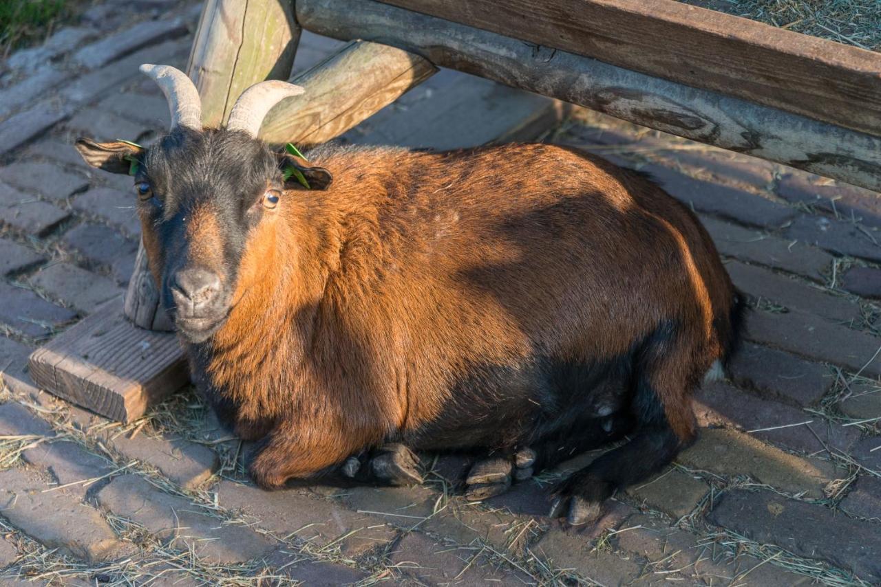 Bed En Breakfast Puur8A Duizel Zewnętrze zdjęcie